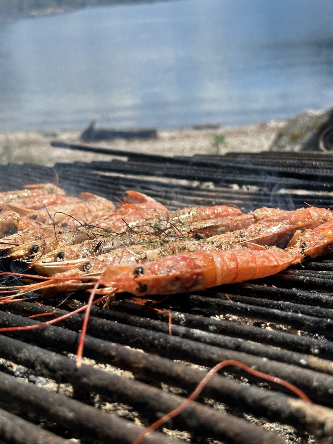 Prawns on the grill