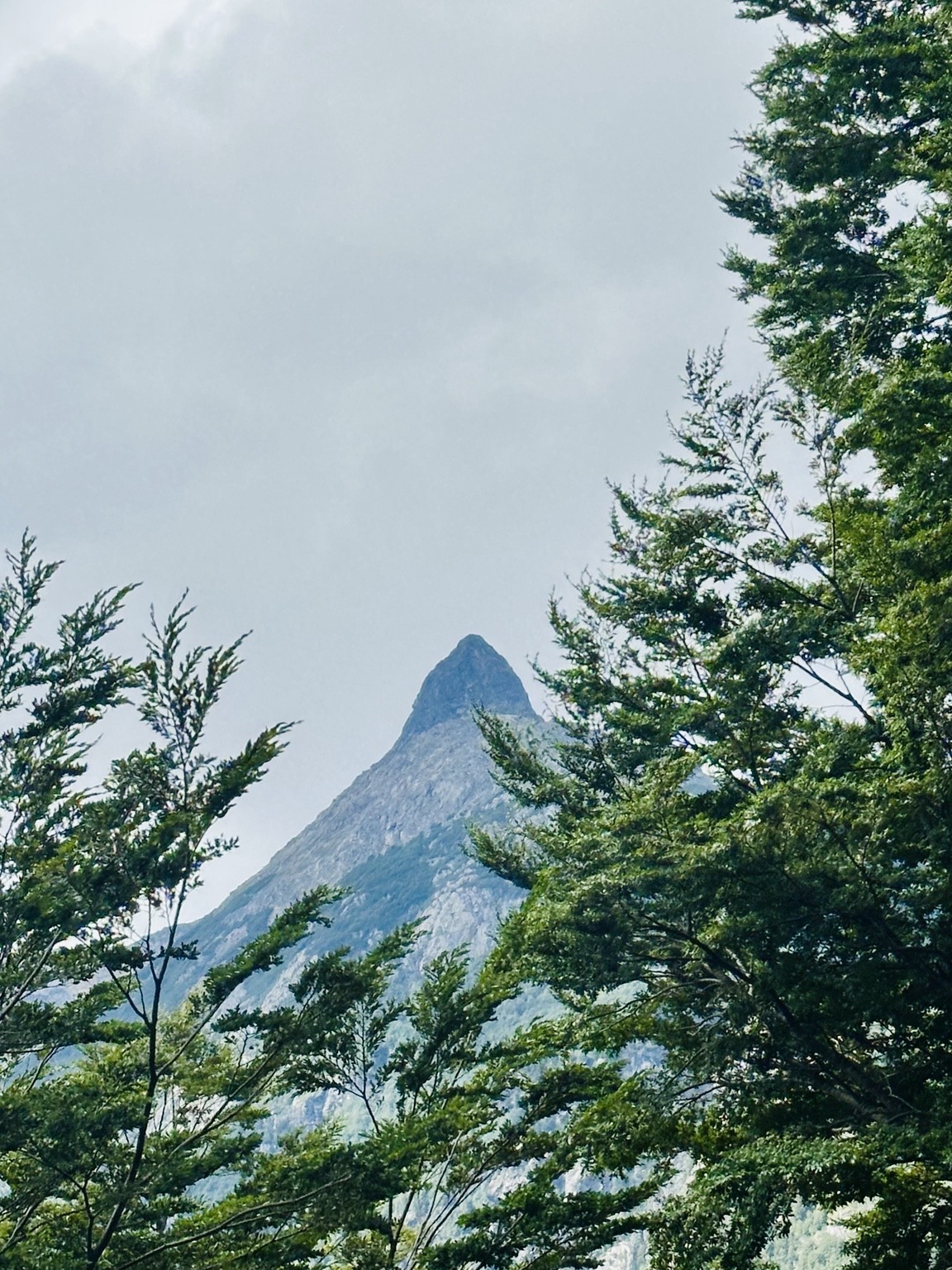 Mountains through the trees