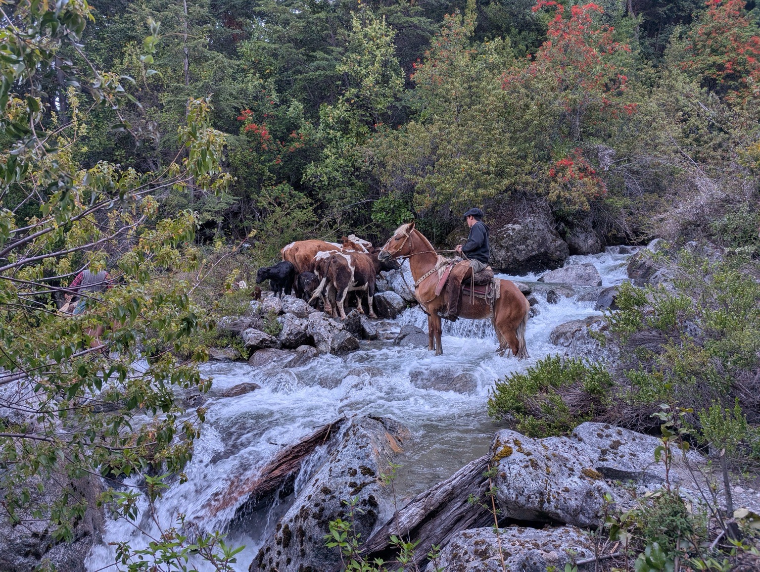 Crossing the river
