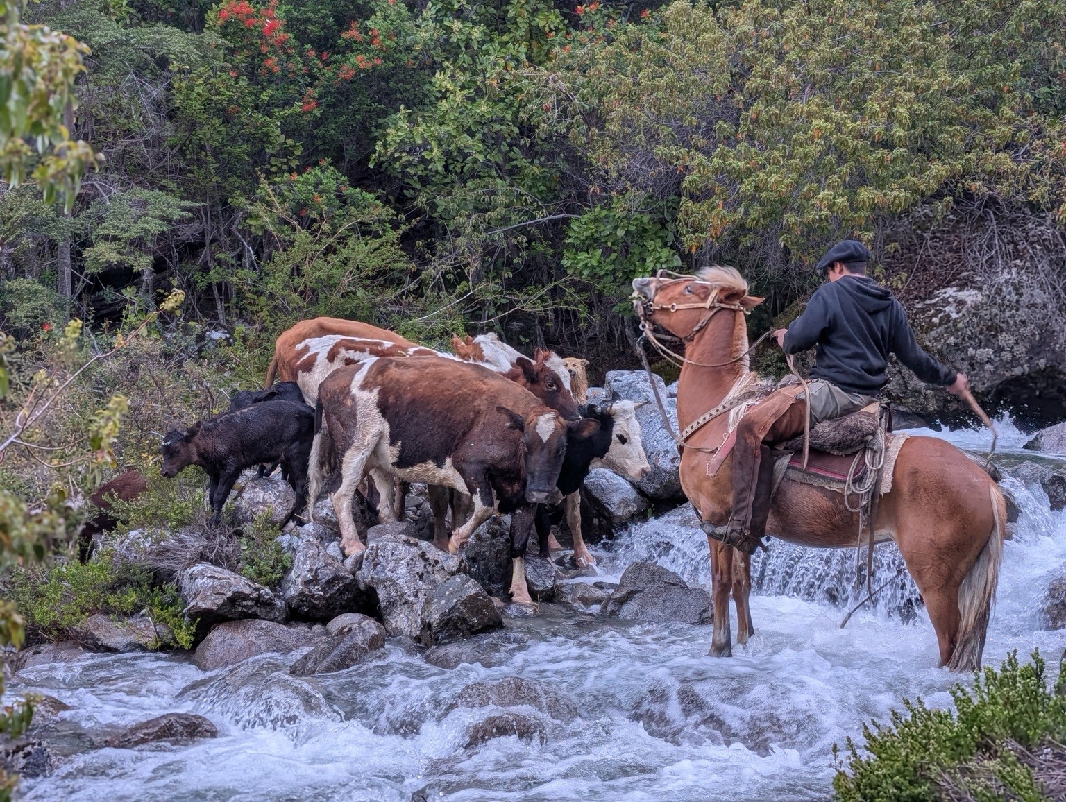 Life along the trail