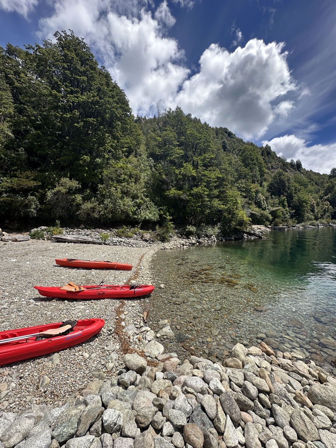 Kayaks on the shore
