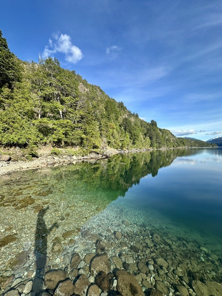 Forest reflected in the water